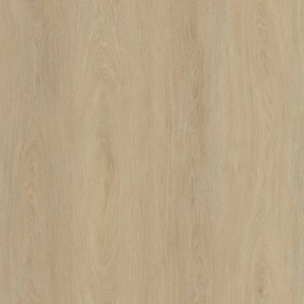 hm01_light_birch_1