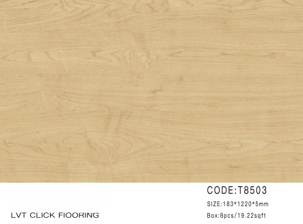 t8503_homy_vinyl_click_-1