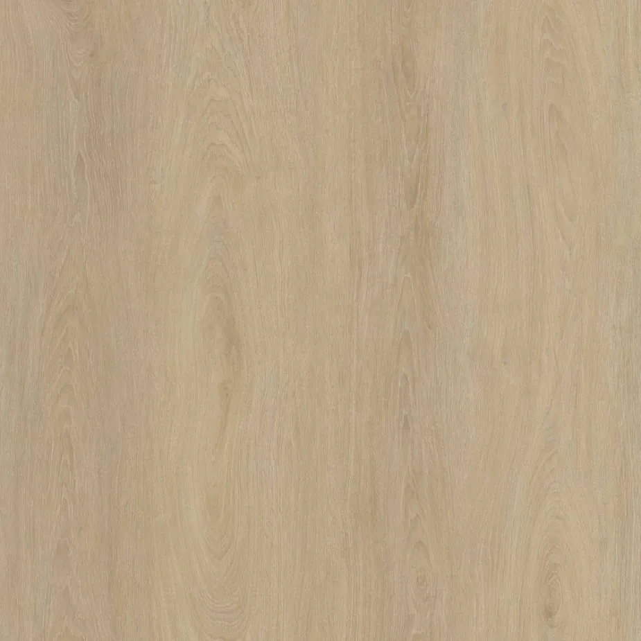 hm01_light_birch_1