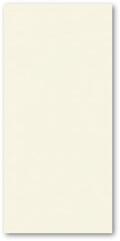 homy_solid_wall_panel_t99-3