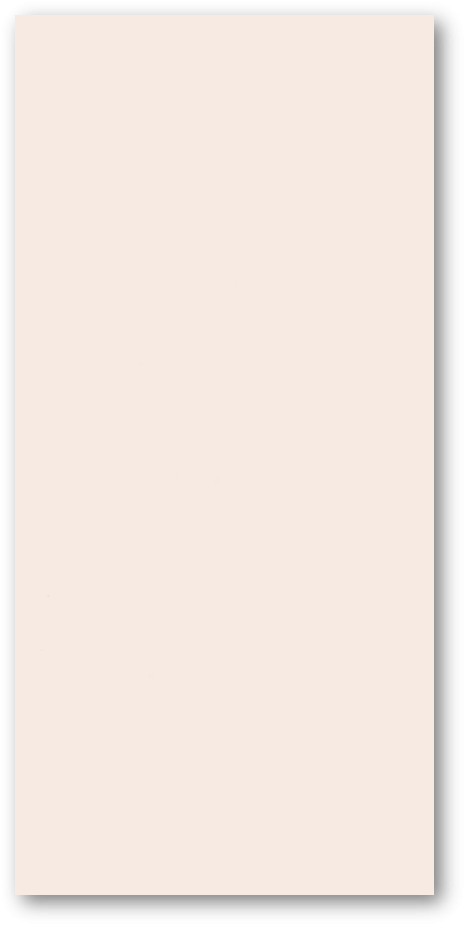 homy_solid_wall_panel_t99-6